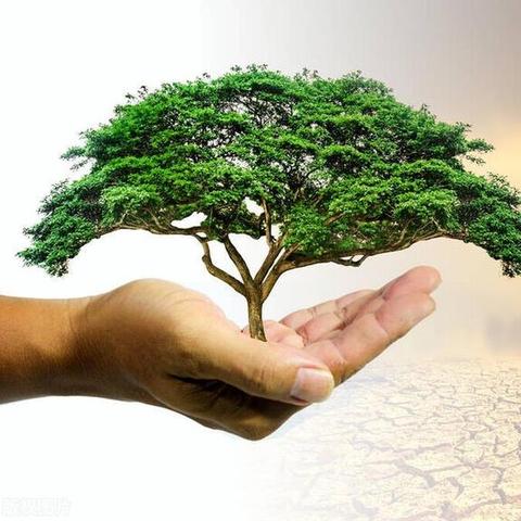 未来90天天气预报最新，科学预测如何助力我们从容应对长周期气候波动