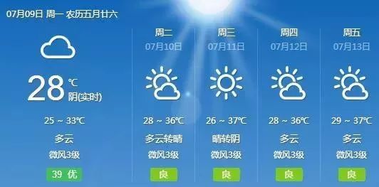 道真天气预报，山城气象的温柔与力量