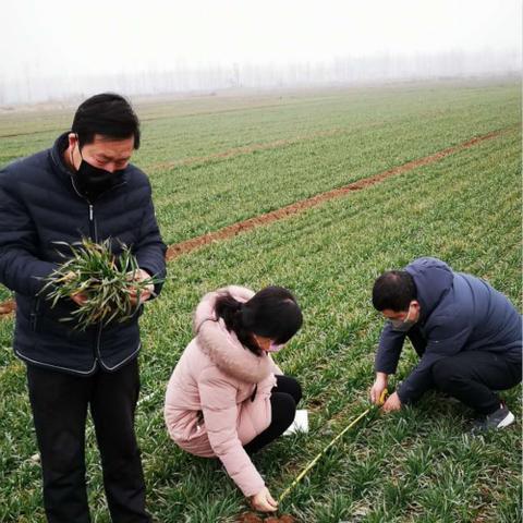 河北下一轮大雨预报，强降水再度来袭，需加强防范