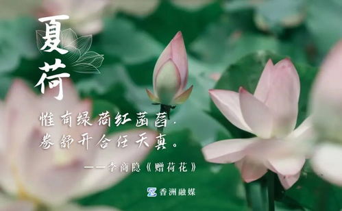七月十九日，一场雨的留白