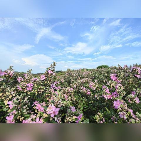 中山的天空，藏着岭南最温柔的秘密
