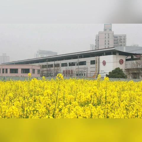 凯旋游戏官网，荣耀游戏中心 V3.58.2 ㊙️㊙️㊙️