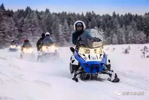 哈尔滨冬日暖阳轻抚冰雪之城，温柔时光醉游人
