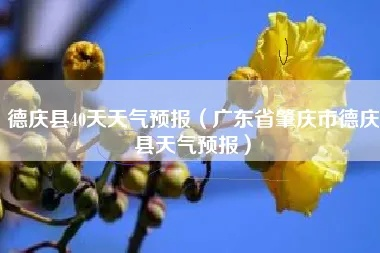 德庆天气预报，一座岭南小城的天气密码与生活哲学