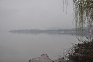 宝山天气，江南烟雨里的城市呼吸