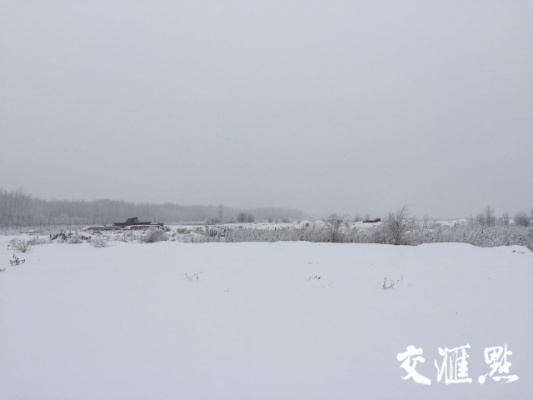 江苏暴雪预警升级，今明两天出行需高度警惕