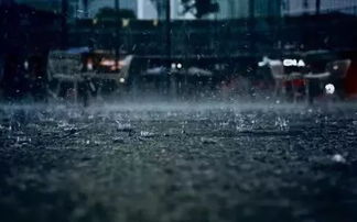 重庆天气预报最新，明日迎降雨降温，市民出行需备伞