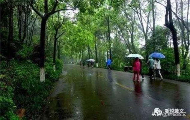 汝城雨中的生存智慧，当天气教会我们如何直面生活的真相