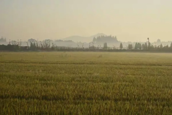 南陵天气志，雾霭晨星与稻浪风声