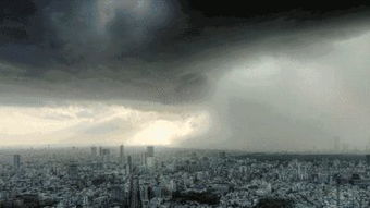 明日全城戒备，大雨暴雨预警拉响，城市防汛进入临战状态