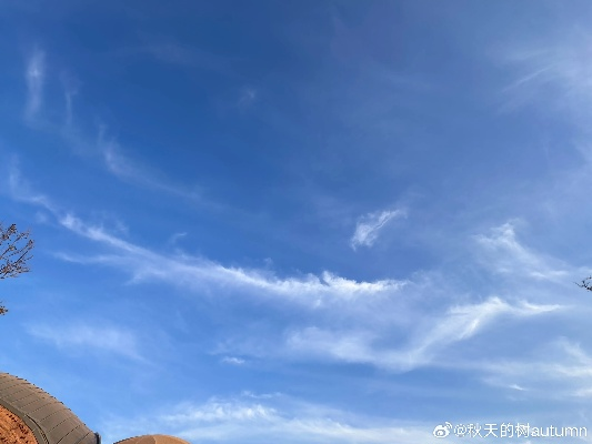 上周的天空日记，七天的悲喜剧
