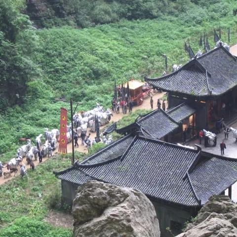 仙女山天气预报，山间气候的变幻与旅行指南