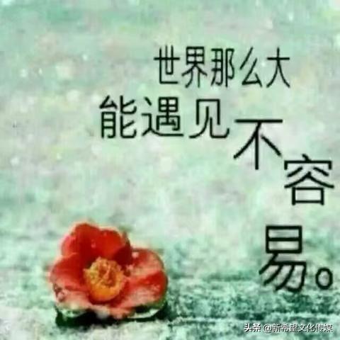 手把手教你安装天气预报，从手机到电脑，随时掌握阴晴冷暖