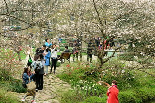 3月20日杭州天气,春分日里的一场温柔倒春寒 3月20日杭州天气,春分日里的一场温柔倒春寒