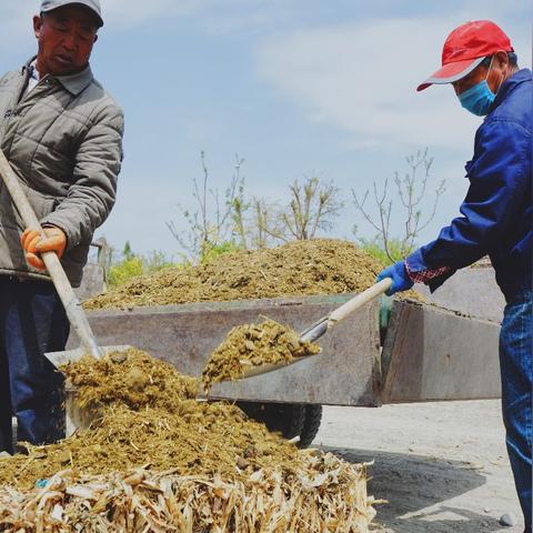 宁夏未来15天天气趋势，气温波动明显，适时调整出行与生活安排