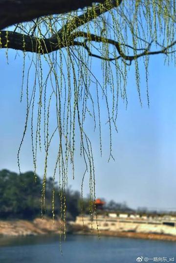 黄岛天气早知道，未来三天晴雨交替，出行请留意