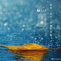 文昌的雨,总是不请自来 文昌的雨,总是不请自来
