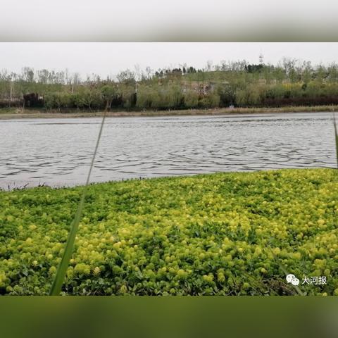 河南全省天气预报，未来三天晴雨交替，北部地区需防强对流