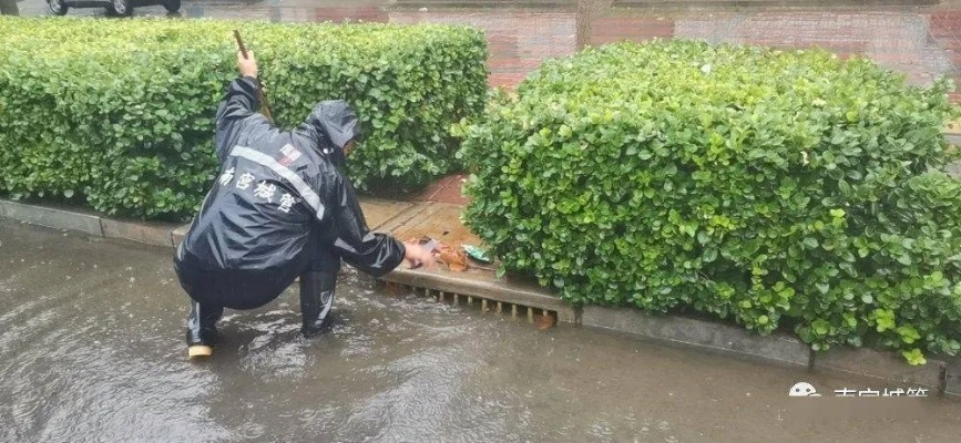 鱼台发布暴雨橙色预警,全力应对强降雨天气,确保群众生命财产安全 鱼台发布暴雨橙色预警,全力应对强降雨天气,确保群众生命财产安全