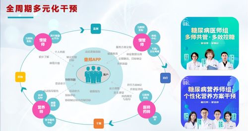 精准掌控风云变幻—Windy气象软件App下载指南与深度体验